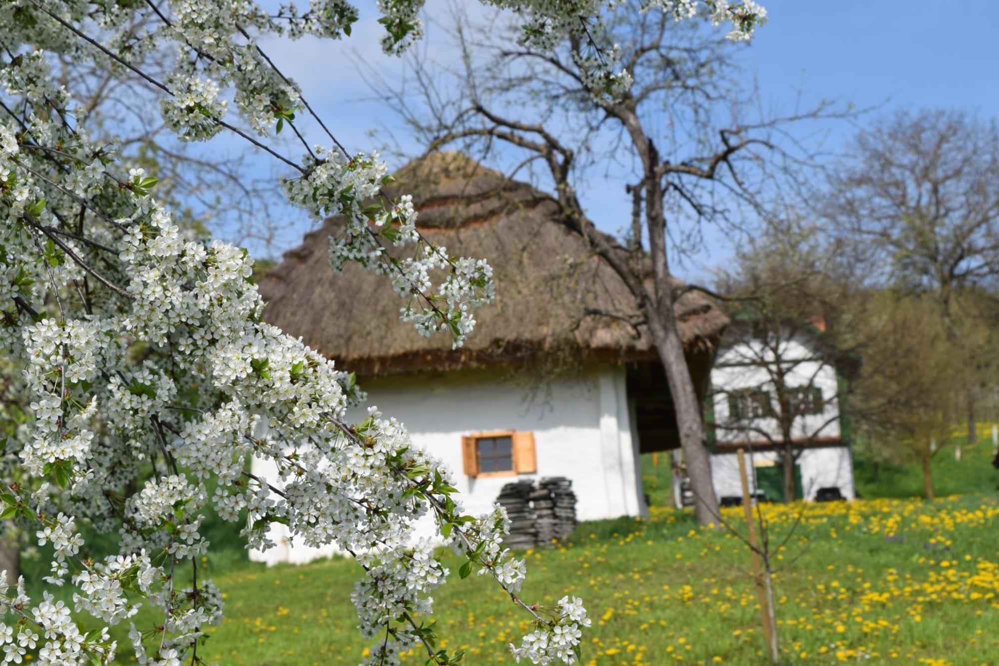 Genussgasthof & Hotel Beim Krutzler Heiligenbrunn 外观 照片